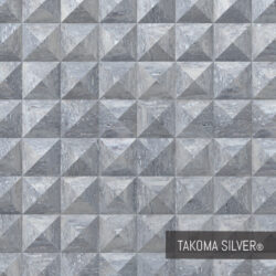 Takoma Silver Cairo