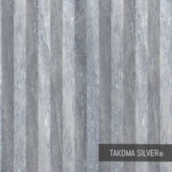 Takoma Silver - Oslo