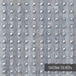 Takoma Silver - Shanghai