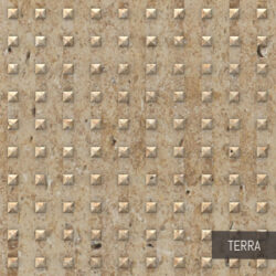 Terra - Shanghai