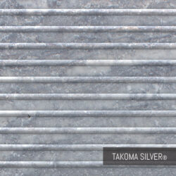 Takoma Silver - Tokyo