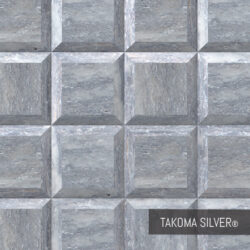 Takoma Silver - Venice